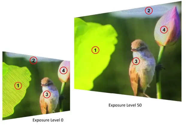 LILLIPUT RM 503S 3 X 5 Inch 2RU Rackmount SDI Monitor - Key Function 15