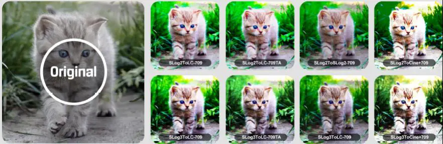 LILLIPUT RM 503S 3 X 5 Inch 2RU Rackmount SDI Monitor - Key Function 3