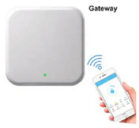 Lifyfun Sifely Deadbolt - 9.10