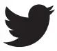 Twitter icon