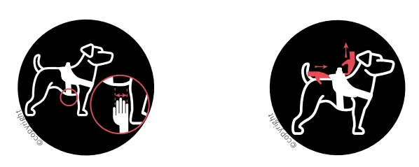 JULIU SK 9 16IDC P M IDC Power Harness - parts 4