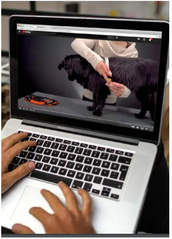 JULIU SK 9 16IDC P M IDC Power Harness