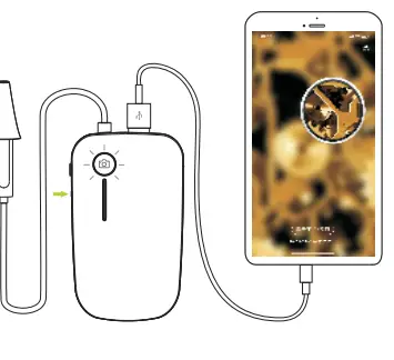 AKNTE100i-Ear-Wax-Removal-Tool-fig-8