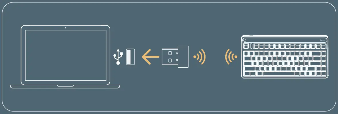 2.4GHz Connection Mode