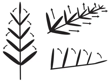 HOME DECORATORS 22PG90203 Twinkly Swiss Mountain Fir Christmas Tree - Figure 3