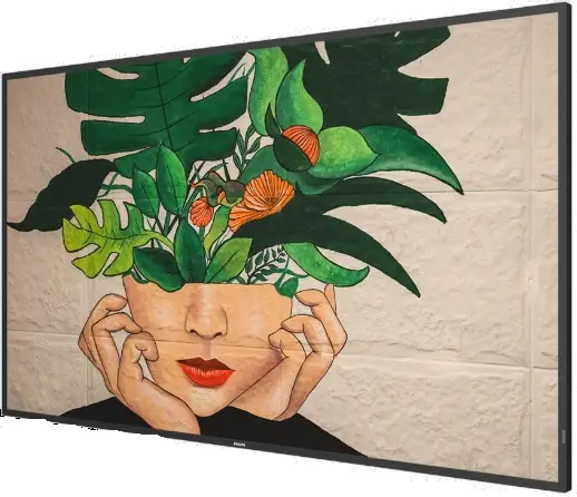 PHILIPS 55BDL4511D D Line Display