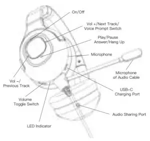 Appearance Wireframe