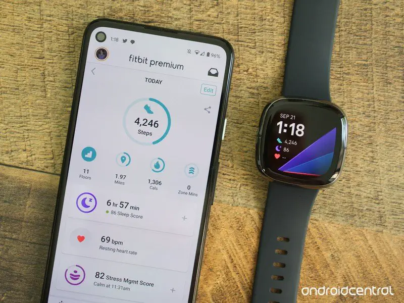 Fitbit Ecg App Instructions