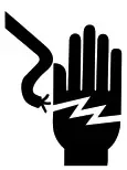FISHER PAYKEL logo - Electrical Shock