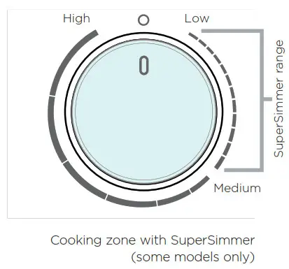 FISHER PAYKEL logo - SuperSimmer