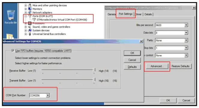 ESC Check and Flash Firmware