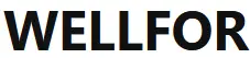 WELLFOR-LOGO