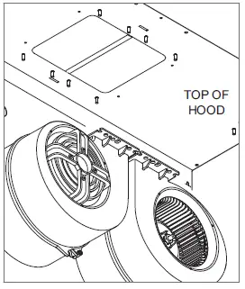 WOLF-PW482418-48-Inch-Wall-Hood-FIG-3