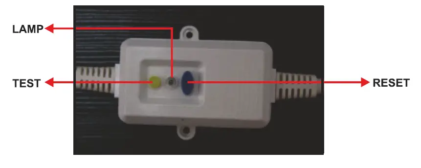 VIBOCOLD VD372 Single Door Visicoolers 7
