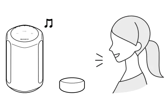 Sony SRS-RA3000 360 Reality Audio Wi-Fi Wireless Speaker Operating (29)