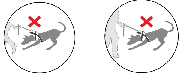 JULIUS-K9-IDC-PowerHarness-fig-7