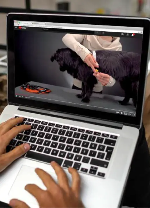 JULIUS-K9-IDC-PowerHarness-fig-9