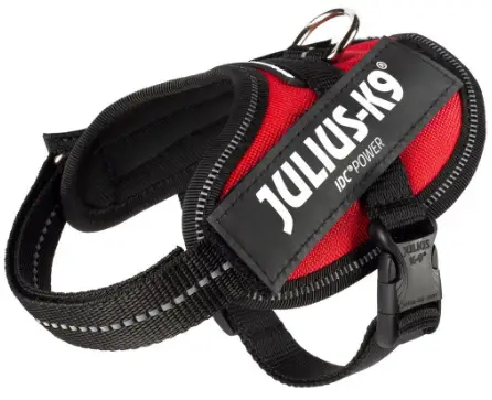JULIUS-K9-IDC-PowerHarness-product
