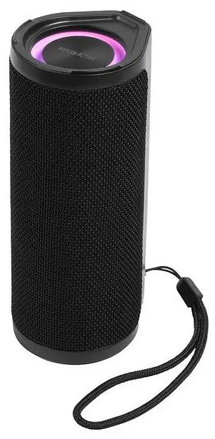 REFLEX ACTIVE Party Outdoor Wireless Speaker-fig1