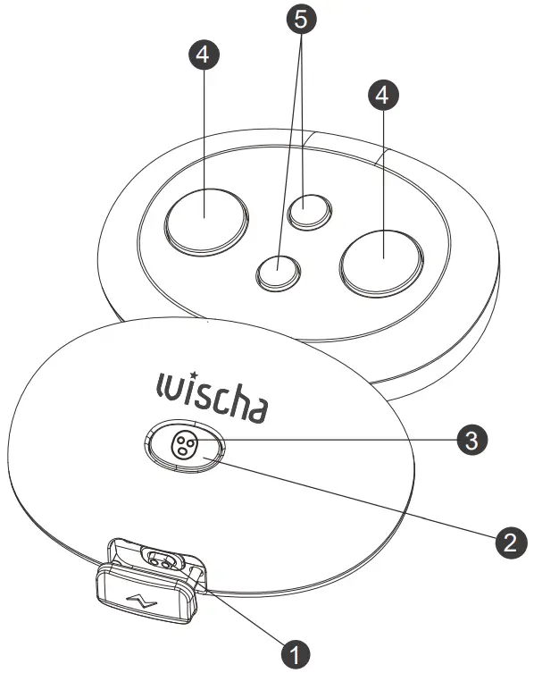wischa WS01 Super Smart Microcurrent Induction Skincare Device - fig 1