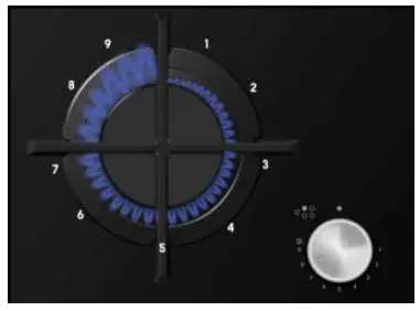 DeLonghi NSL 460 NCM 60cm 4 Burner Life Gas On Glass Cooktop - Precision Control