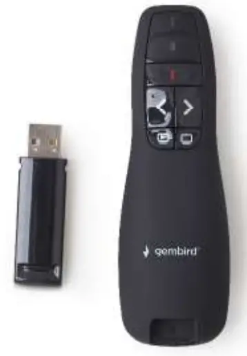 gembird WP-L-02 Wireless Presenter with Laser Pointer