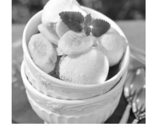 SHARPER IMAGE 207721 Frozen Dessert Maker - EXTREME BANANA CREAM