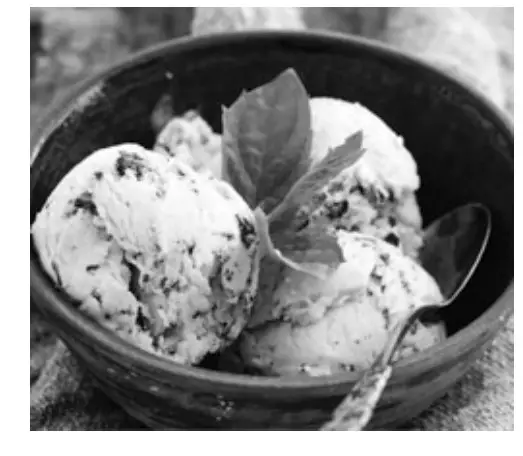 SHARPER IMAGE 207721 Frozen Dessert Maker - MINT CHOCOLATE DELIGHT