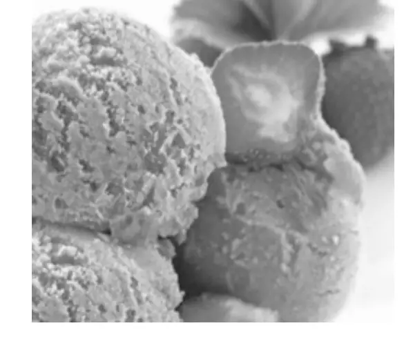 SHARPER IMAGE 207721 Frozen Dessert Maker - STRAWBERRY SUPREME