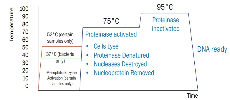 MicroGEM PDQeX prepGEM Universal Effortlessly Extract DNA From Saliva or Blood