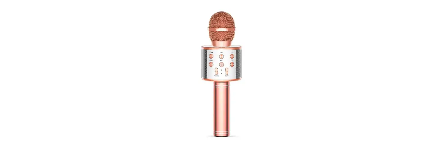 Jrgk Ws-858 Wireless Bluetooth Karaoke Handheld Microphone User Guide Jrgk Ws-858 Wireless Bluetooth Karaoke Handheld Microphone User Guide