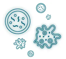 CMP-DEL-OZONE-25-Powerful-Ozone-Generator-fig1