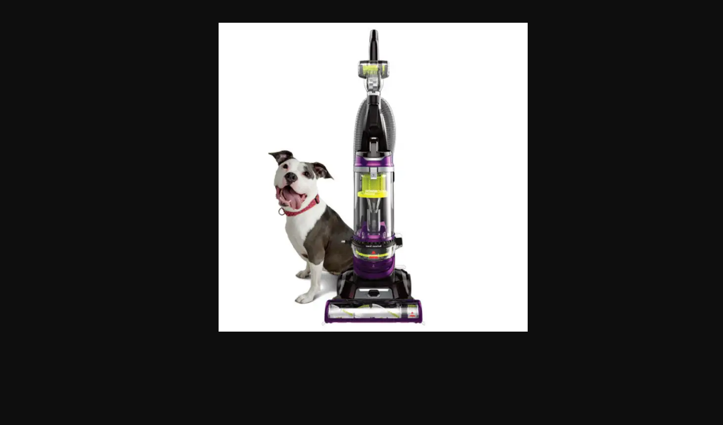 My Cleanview®/powerclean® Rewind Pet Vacuum Cleaner Has No Power L Support My Cleanview®/powerclean® Rewind Pet Vacuum Cleaner Has No Power L Support