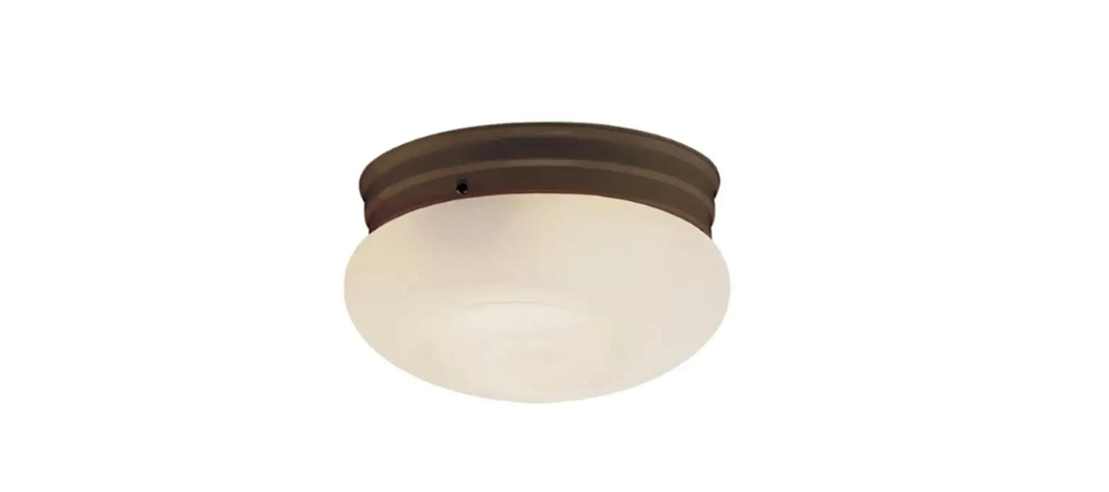 Globe 91002366 Flush Mount Ceiling Light Installation Guide
