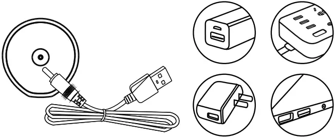 TRVLAEWOR HH06007 Sonic Electric Toothbrush - Connect The Charging
