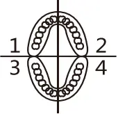 TRVLAEWOR HH06007 Sonic Electric Toothbrush - Icon 5