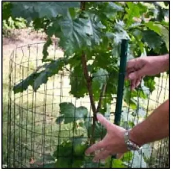 Installation Instructions