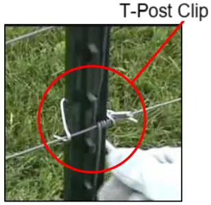 Welded Wire with T-Posts Installation
