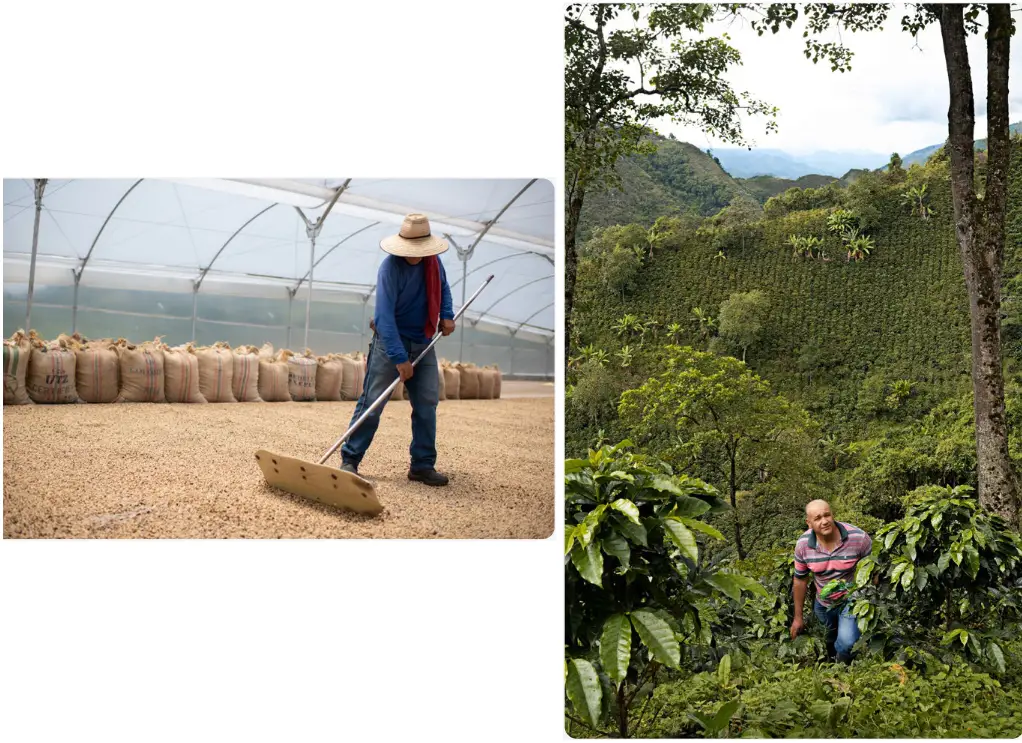 Bellwether Coffee Electric and Automatic Commercial Coffee Roaster - Figure 12