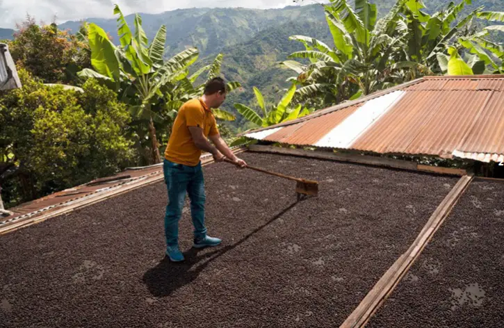 Bellwether Coffee Electric and Automatic Commercial Coffee Roaster - Figure 19