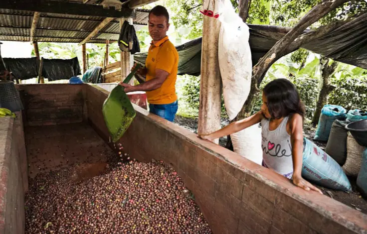 Bellwether Coffee Electric and Automatic Commercial Coffee Roaster - Figure 21