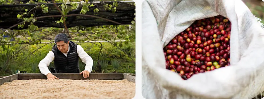 Bellwether Coffee Electric and Automatic Commercial Coffee Roaster - Figure 23