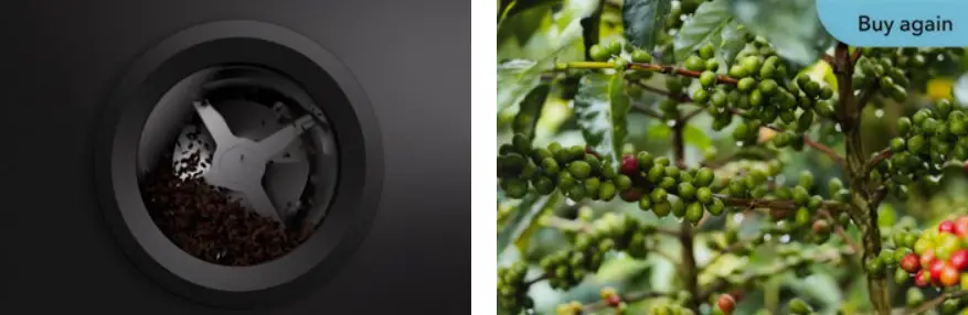 Bellwether Coffee Electric and Automatic Commercial Coffee Roaster - Figure 30