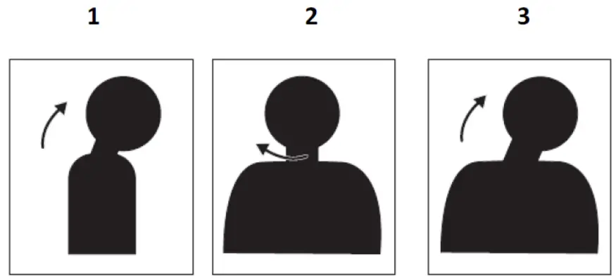 Lenovo D21238FT0 T24m 29 Flat Panel Monitor - Exercises for the neck