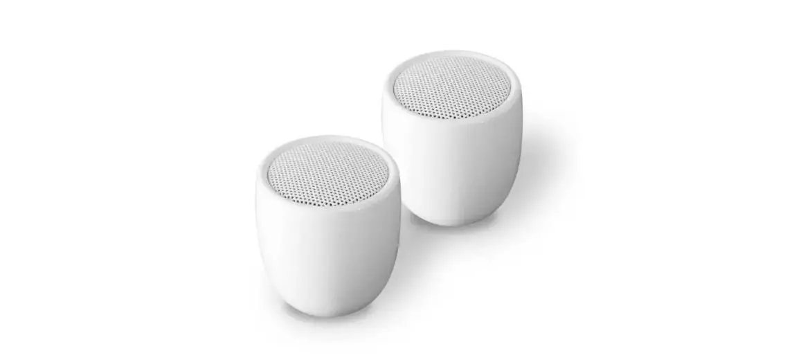 Fontastic 262692 Speaker Set Owner's Manual