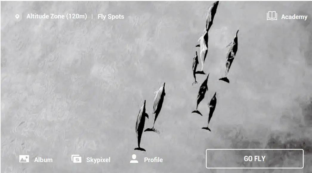 dji Mini 2 Ultralight Foldable Drone User Manual - Home