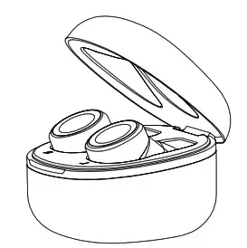 DK2 True Wireless Earbuds- Initial Use