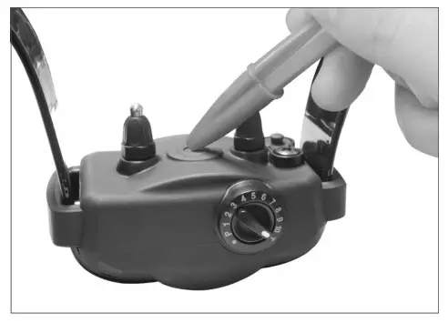 Dogtra YS600 No Bark Collars- Testing