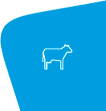 nedap FERPH - Dairy Farming