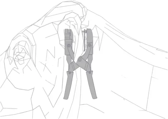 nedap FERPH - attach SmartTag Ear 2